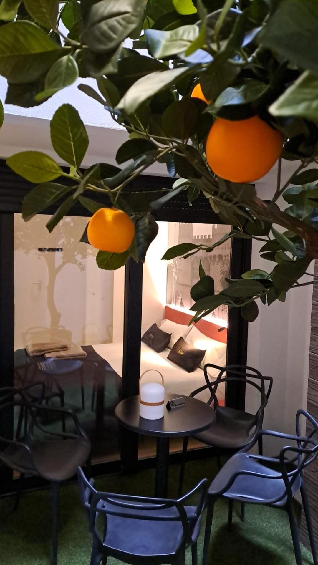 Deluxe Two-Bedroom Apartment