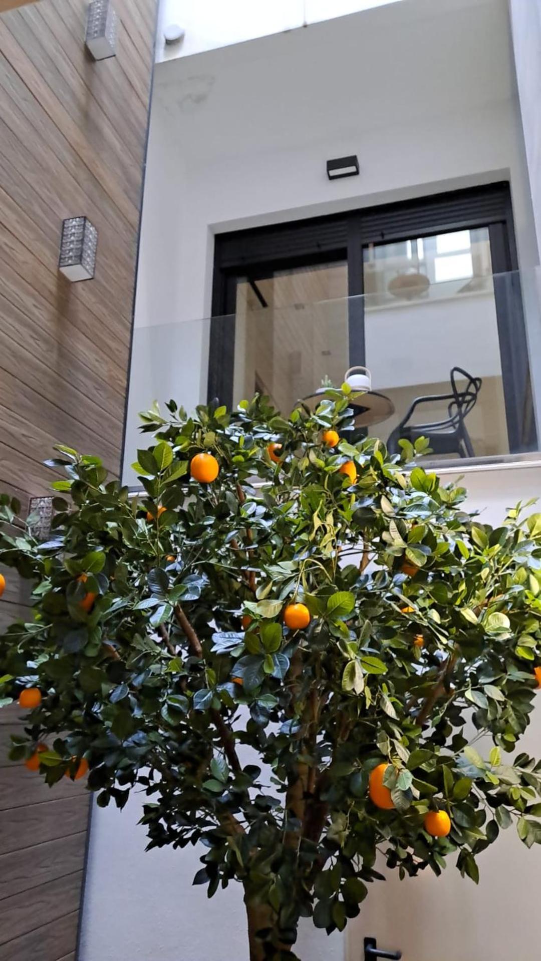 Deluxe Two-Bedroom Apartment