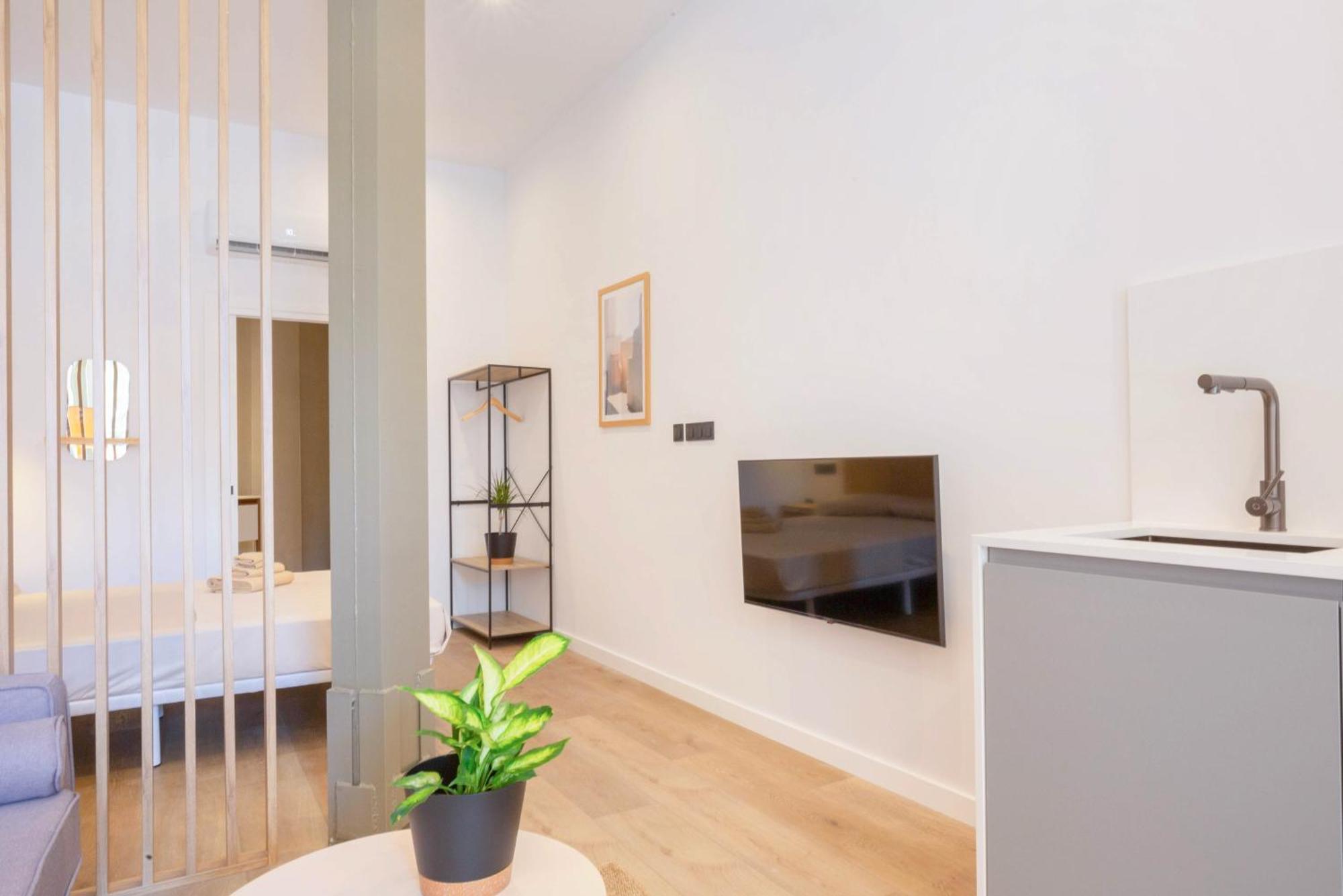 One-Bedroom Deluxe Apartment