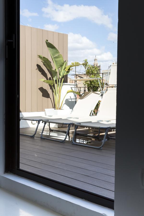 Apartment Terrace