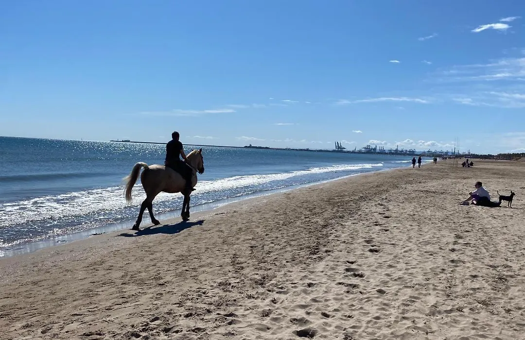 Alojamiento En Primera Linea De Playa Con Wifi-1