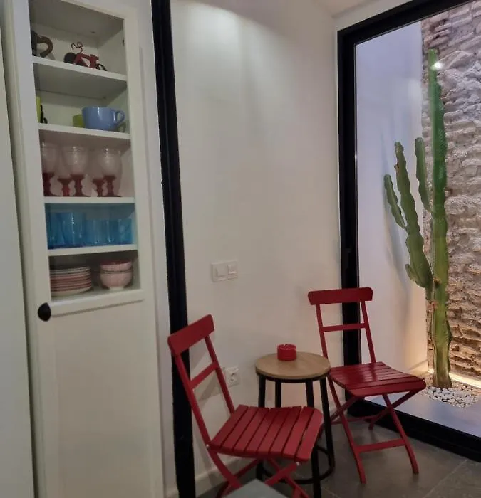 Cactus Loft Ruzafa-1
