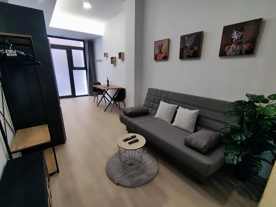 Apartamento Río Turia B-1