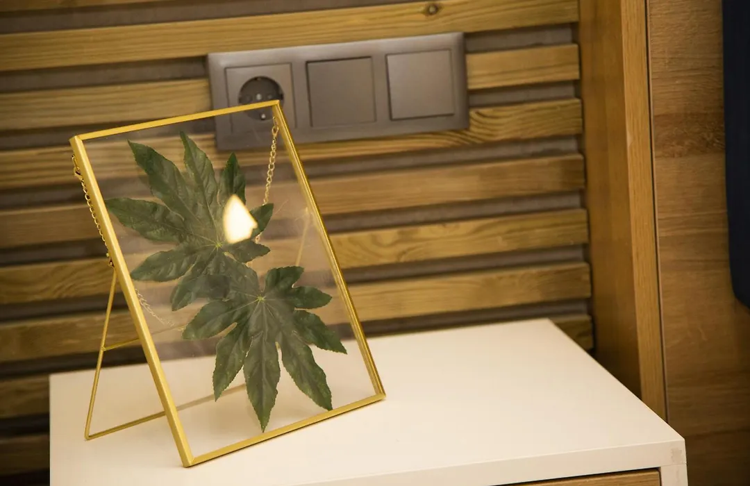 Fabulosa Vivienda Nueva A Un Paso De Plaza Espana-1