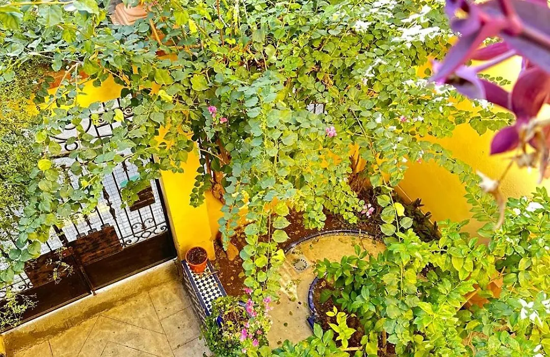 Precioso apartamento junto a Ruzafa en edificio típico valenciano-1