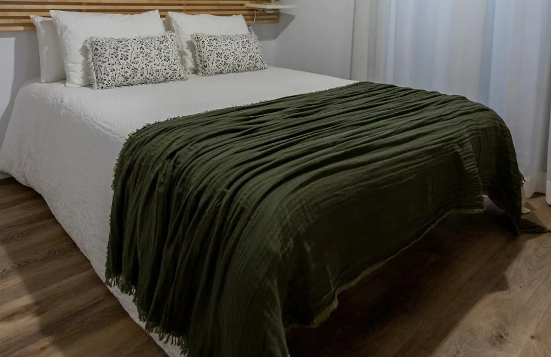 Modern 1 Bedroom Apt In Historic Center • Ground F-1