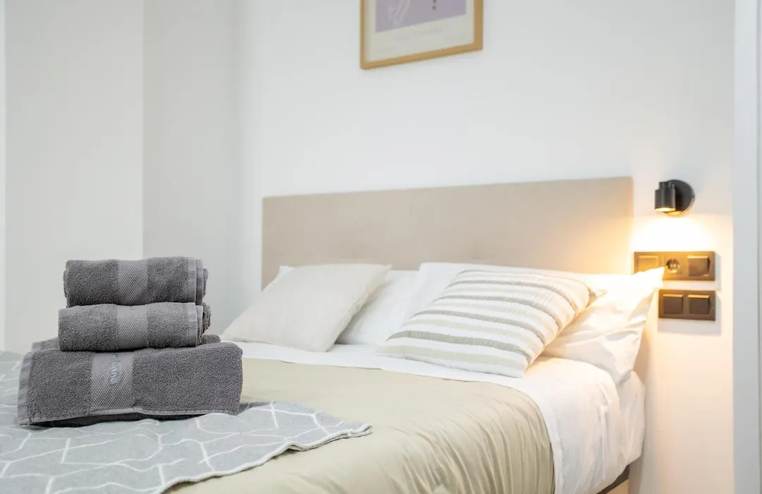 Valencia Central Flats - Exclusiva, junto al Roig Arena-1