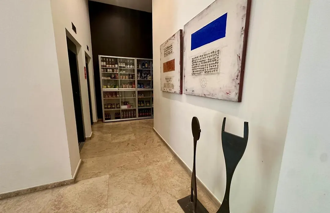 Apartamentos Plaza Picasso-1