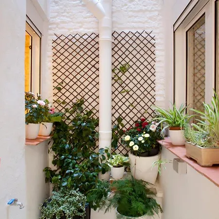 Authentic Charming Apartment/Wifi/Air Conditioning-2