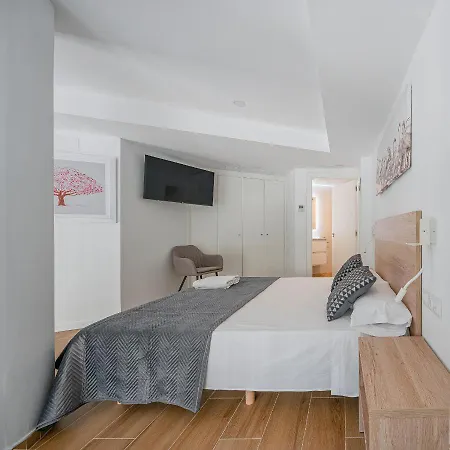 Luxury Duplex Valencia-3