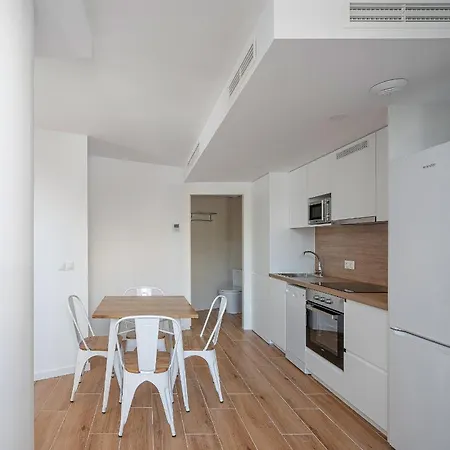 Luxury Duplex Valencia-2