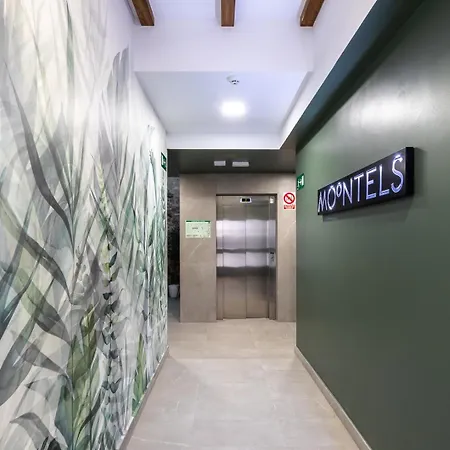 Moontels Plaza De Vannes-2