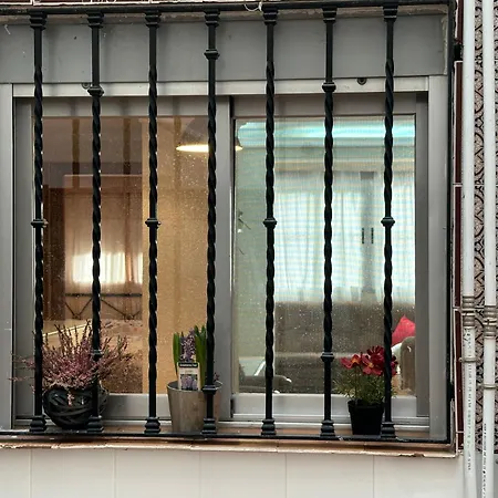 La Casa De Lili Acerca De Palacio De Musica-3