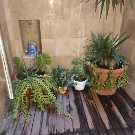 Apartamentos En Plom-3