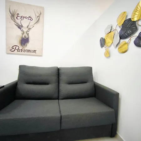 Apartamentos Sant Roc-2