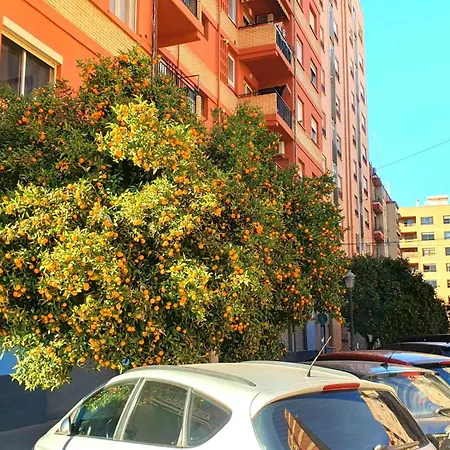 NUEVO Apartamentos Costa del Alma-3