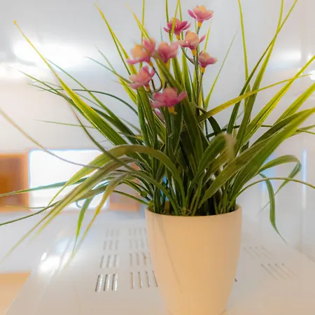Catedral Apartments-3