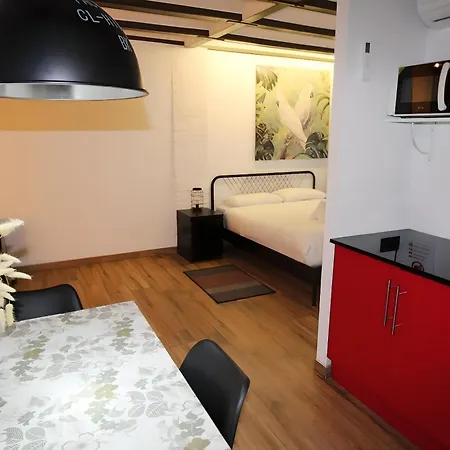 Increible Apartamento Con Terraza Al Lado De Torres De Quart-3