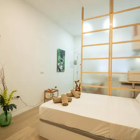 Loft Centrico 2 Pax Poyector Tv-2