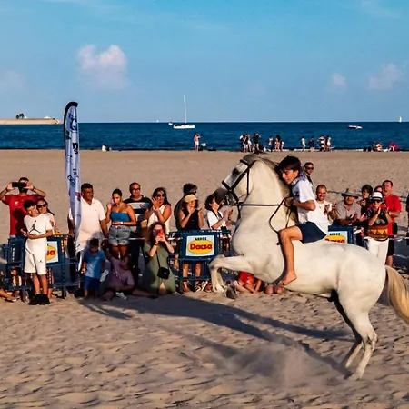 Pinedo Playa-3