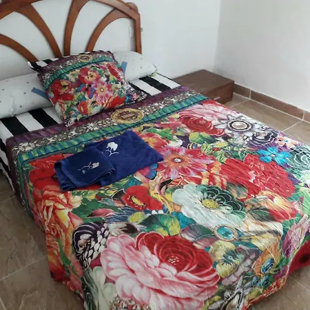 Apartamento Sofia-3