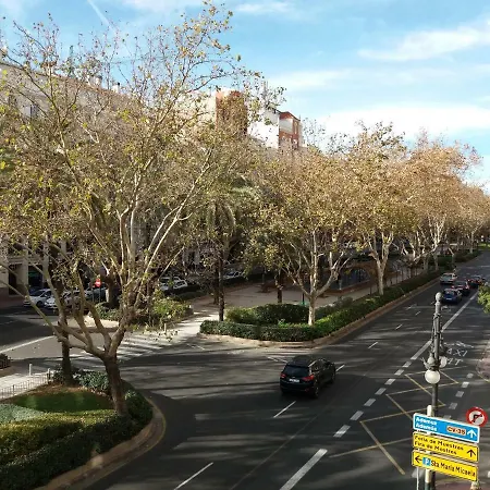 El Catolico 56-3
