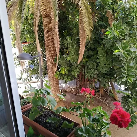 Apartment in Valencia-2