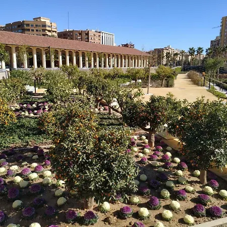 Apartment in Valencia-3