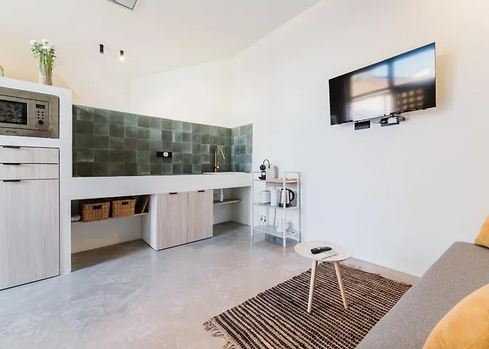 Loft Viñas