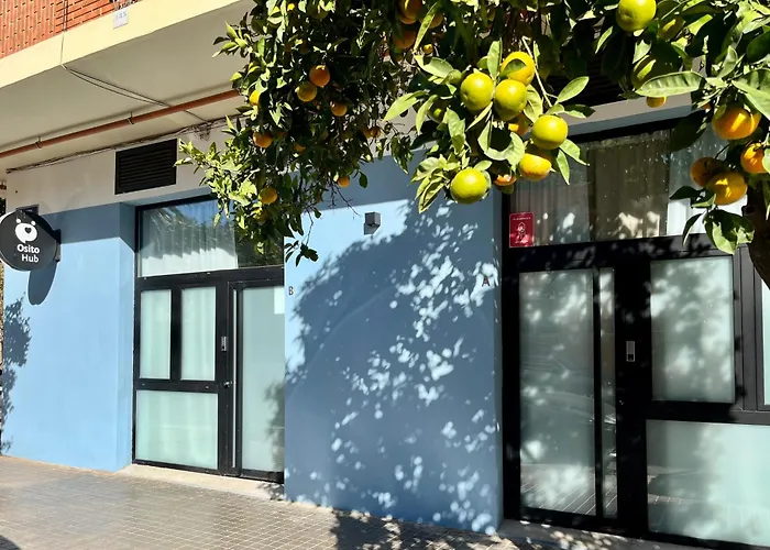 Osito Hub - Campoamor