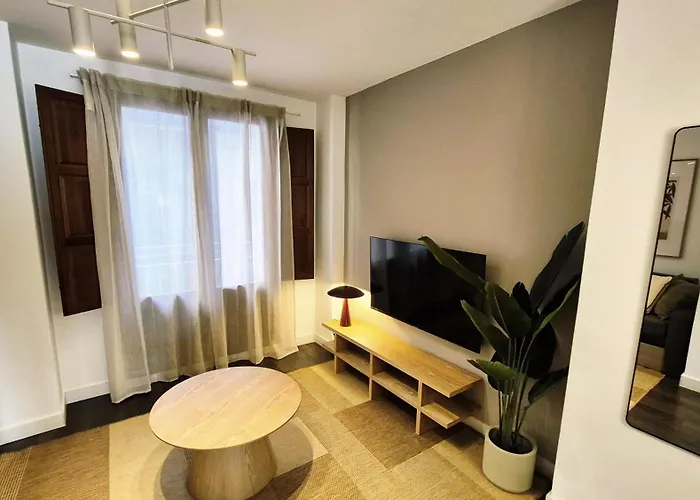 Apartamentos Carmen Del Turia