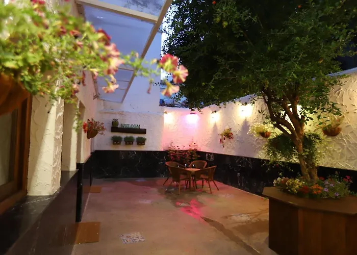 Buho House