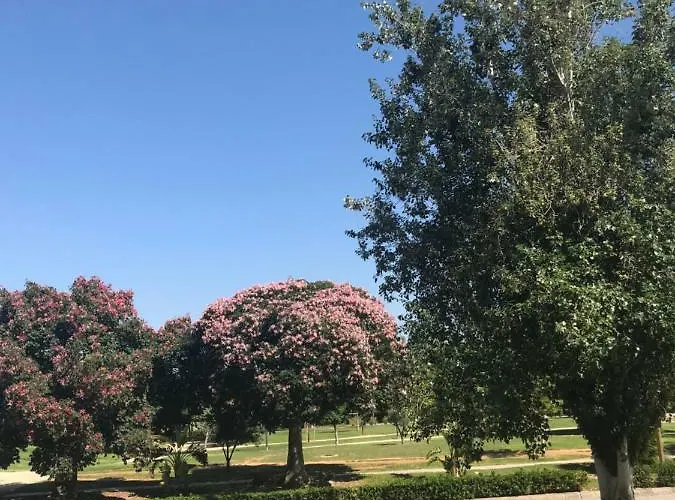 Plaza Sainetero Arniches