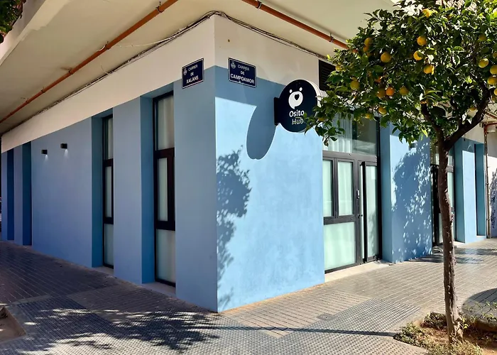 Osito Hub - Campoamor